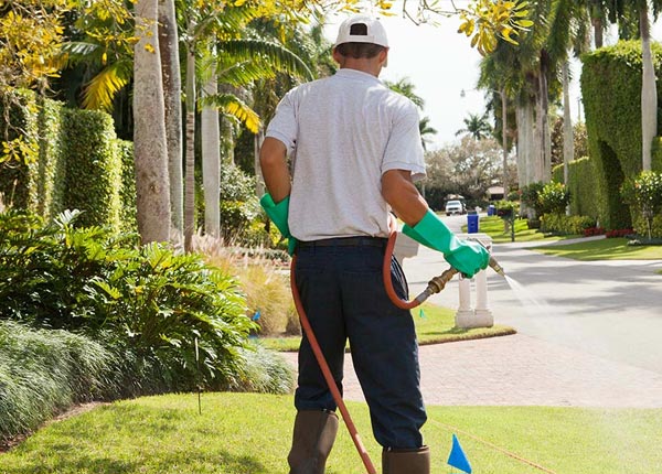 About Mokane MO Pest Control
